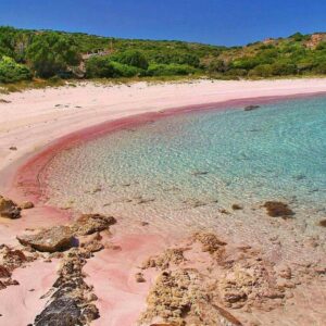 pink sand at la maddalena sardinia