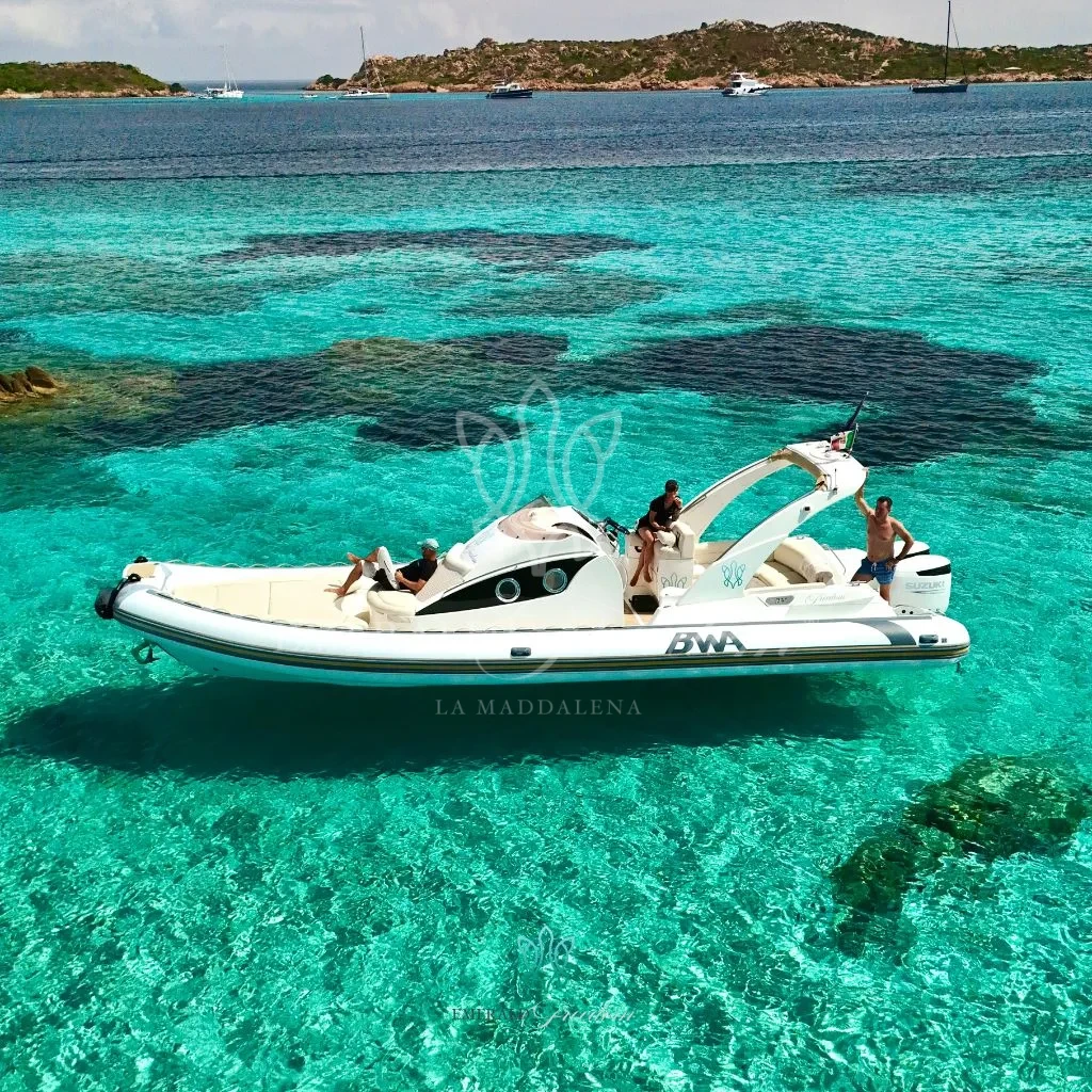 Blog Emerald Freedom Blog Emerald Freedom